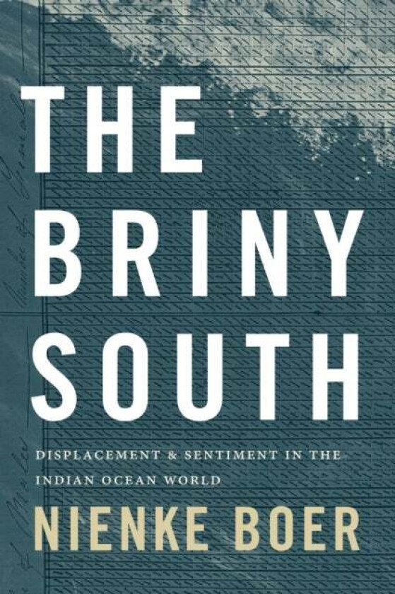 The Briny South av Nienke Boer