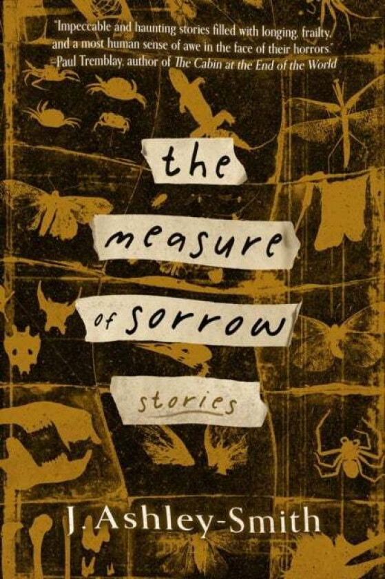 The Measure of Sorrow av J. Ashley-Smith