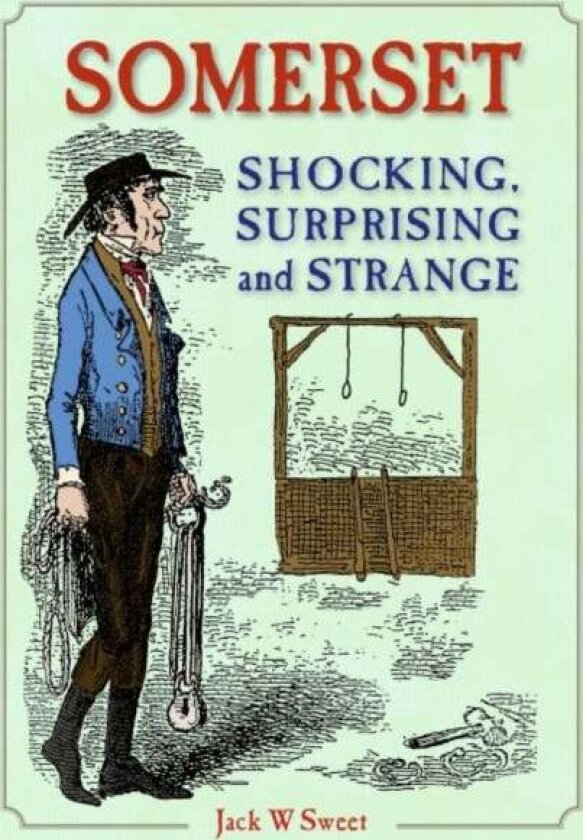 Somerset Shocking, Surprising and Strange av Jack Sweet
