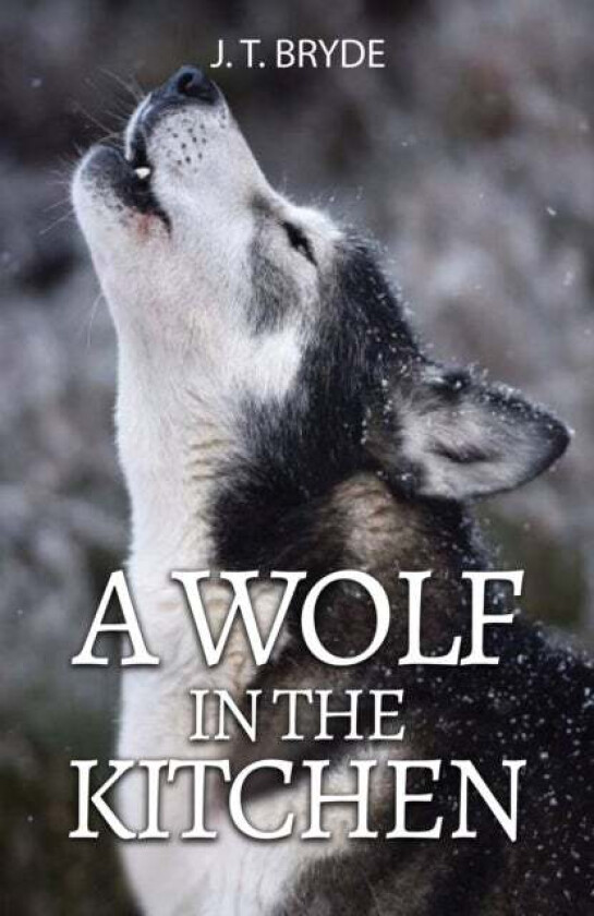 A Wolf in the Kitchen av J. T. Bryde