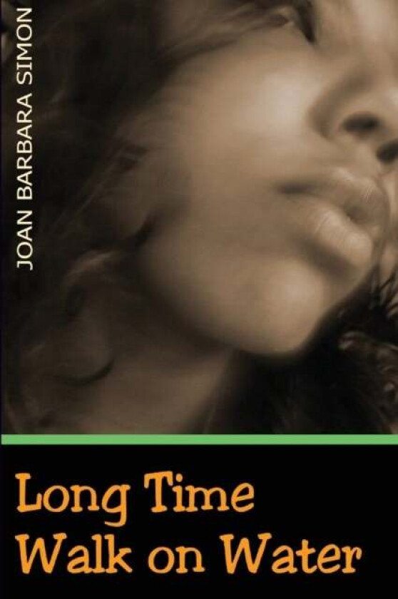 Long Time Walk on Water av Joan Barbara Simon