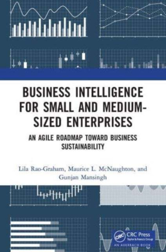Business Intelligence for Small and Medium-Sized Enterprises av Lila Rao-Graham, Maurice L. McNaughton, Gunjan Mansingh