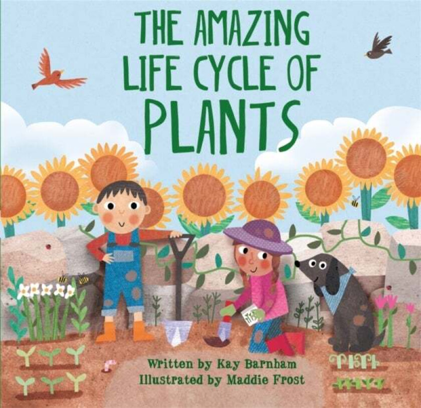 Look and Wonder: The Amazing Plant Life Cycle Story av Kay Barnham