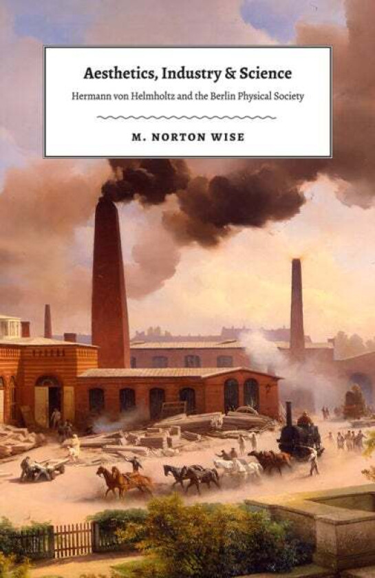 Aesthetics, Industry, and Science av M. Norton Wise