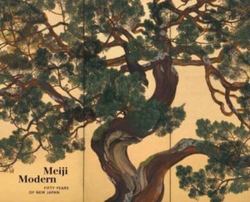 Meiji Modern av Chelsea Foxwell, Bradley M. Bailey