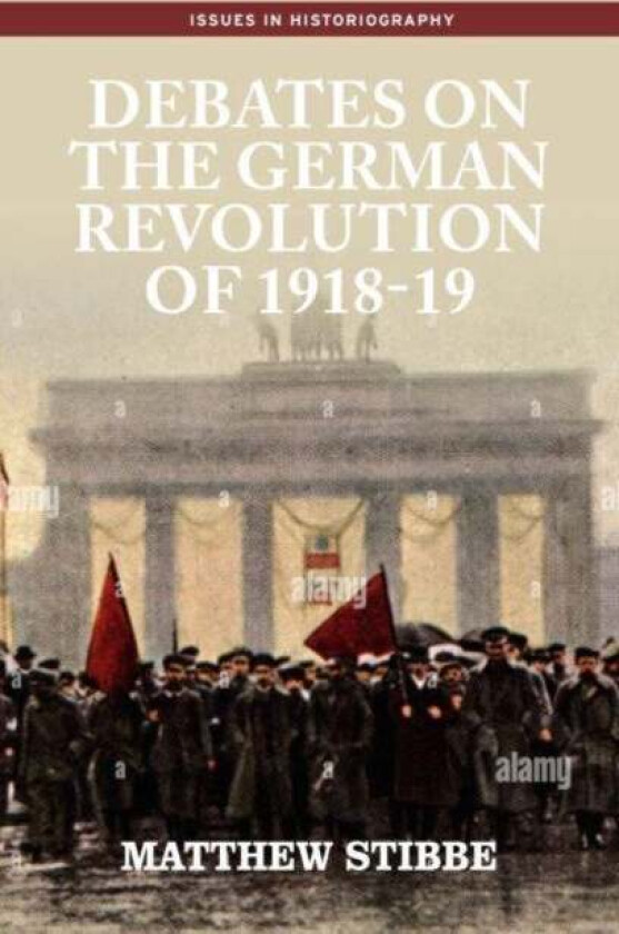 Debates on the German Revolution of 1918-19 av Matthew Stibbe