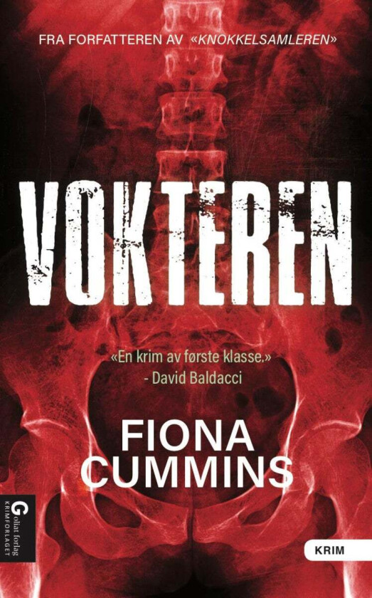 Vokteren av Fiona Cummins