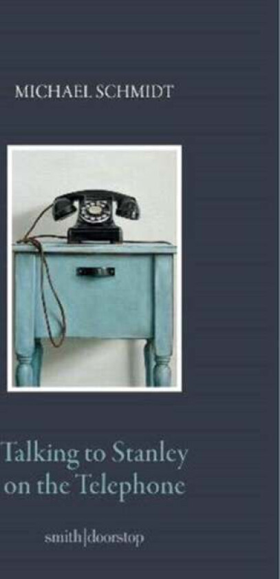 Talking to Stanley on the Telephone av Michael Schmidt