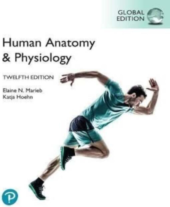 Human Anatomy & Physiology Laboratory Manual, Main Version, Global Edition av Elaine Marieb, Lori Smith