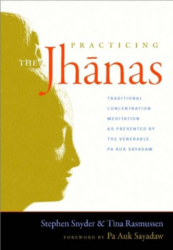 Practicing the Jhanas av Stephen Snyder, Tina Rasmussen