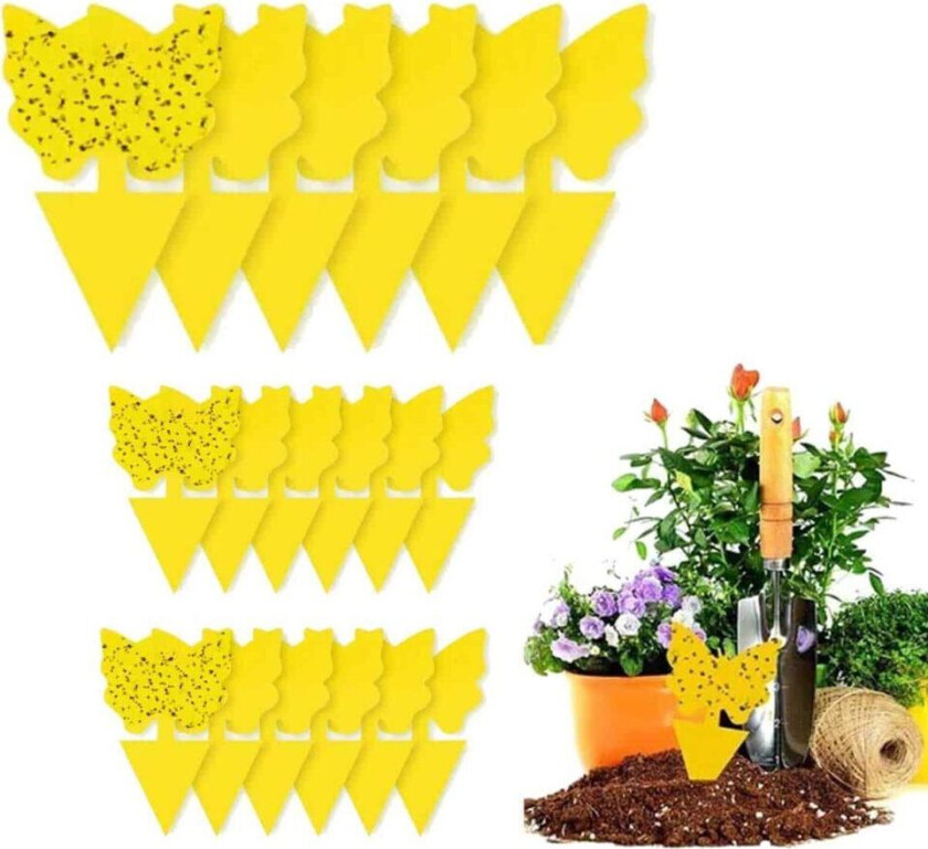 20 -pakk flycatchers - Fly Trap - Butterfly