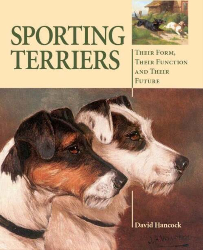 Sporting Terriers av David MBE Hancock