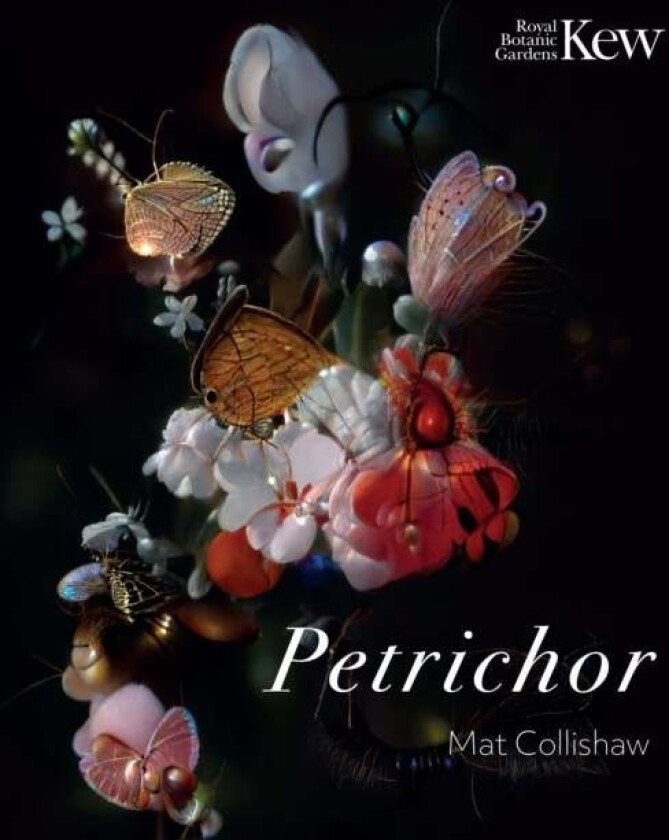Petrichor av Mat Collishaw