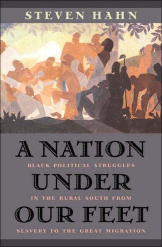 A Nation under Our Feet av Steven Hahn
