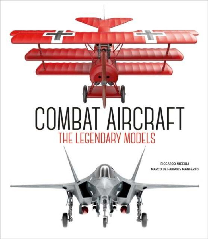 Combat Aircraft av Riccardo Niccoli