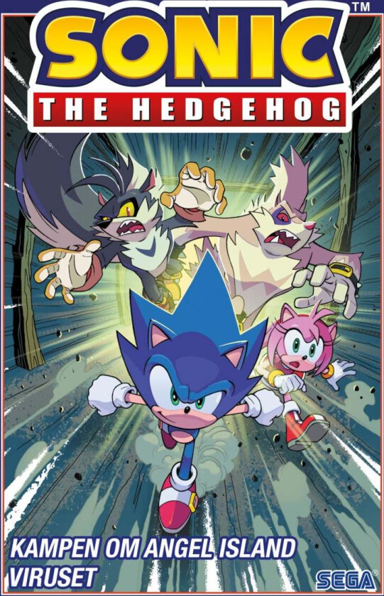 Sonic The Hedgehog Av Ian Flynn