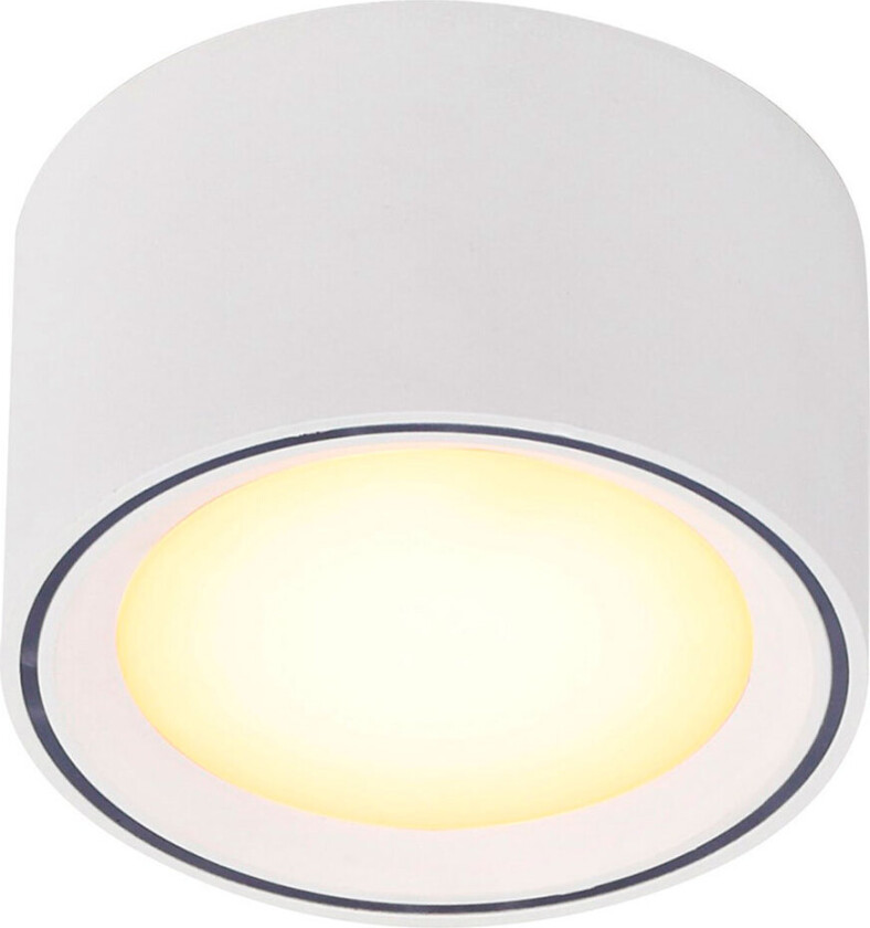 - Fallon Spott White/White