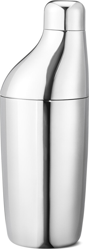 Sky Cocktail Shaker