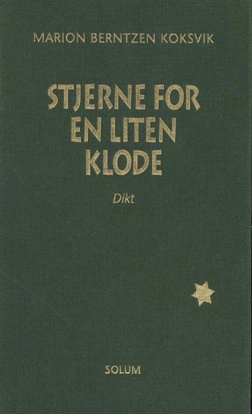 Stjerne for en liten klode av Marion Berntzen Koksvik