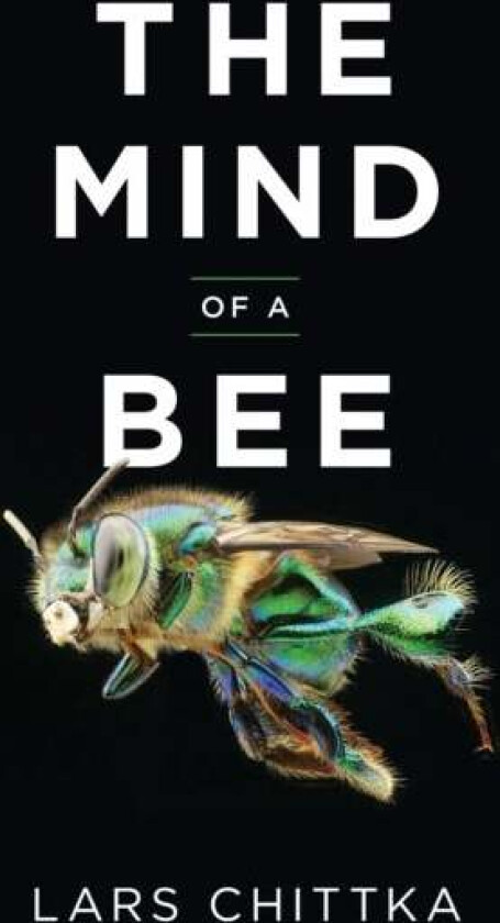 The Mind of a Bee av Lars Chittka