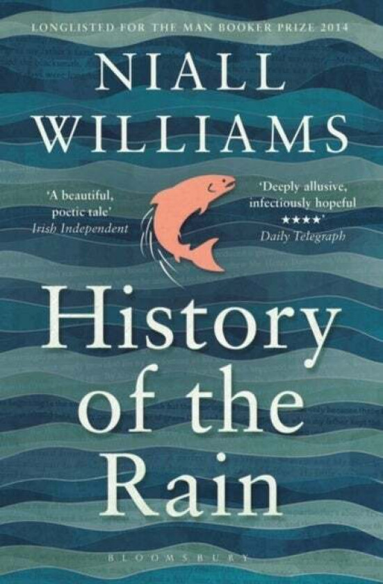 History of the Rain av Niall Williams