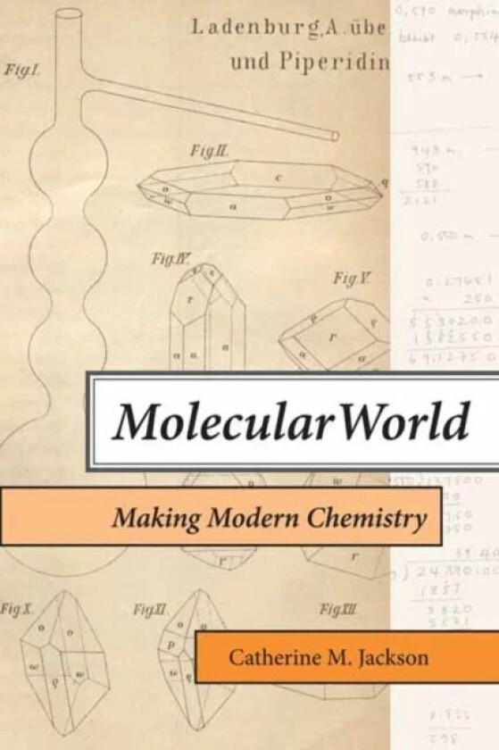 Molecular World av Catherine M. Jackson