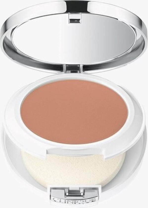 Beyond Perfecting Powder Foundation + Concealer