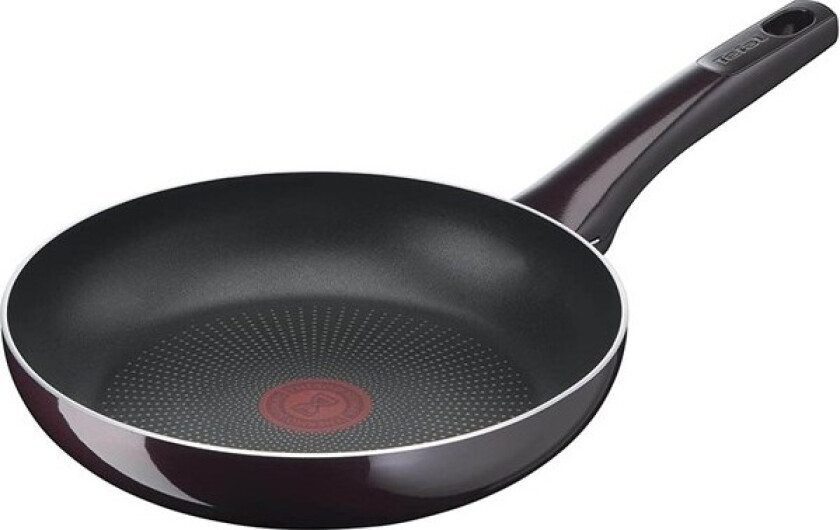 Resist Intense Frypan 20 cm