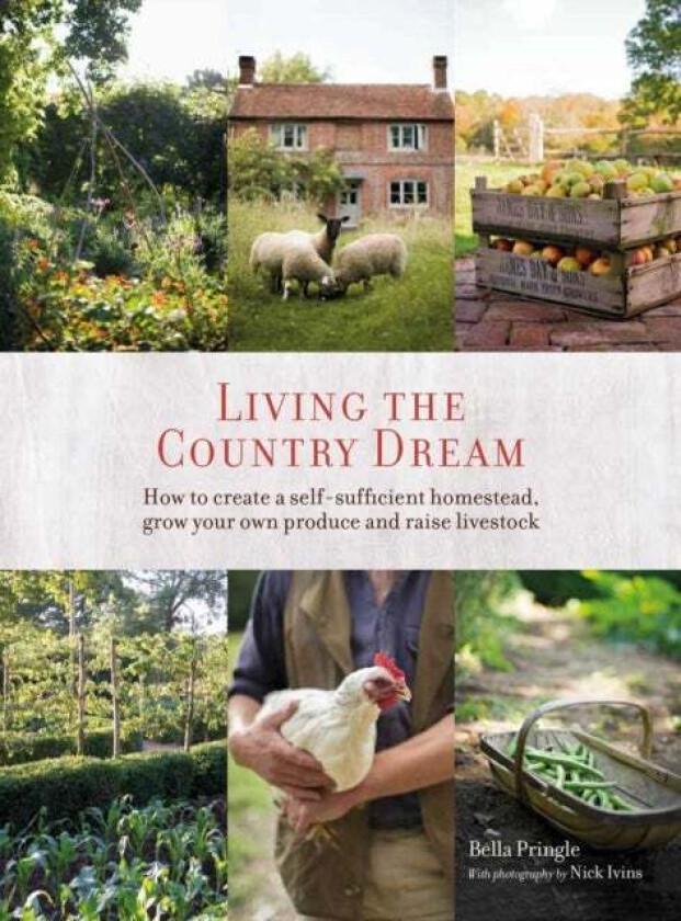 Living the Country Dream av Bella Ivins, Nick Ivins