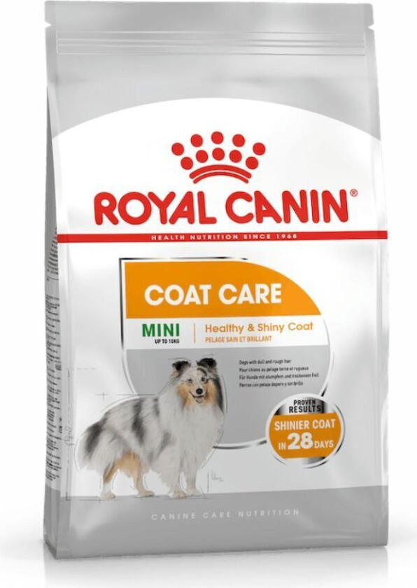 Royal Canin Coat Care Mini Adult (3 kg)