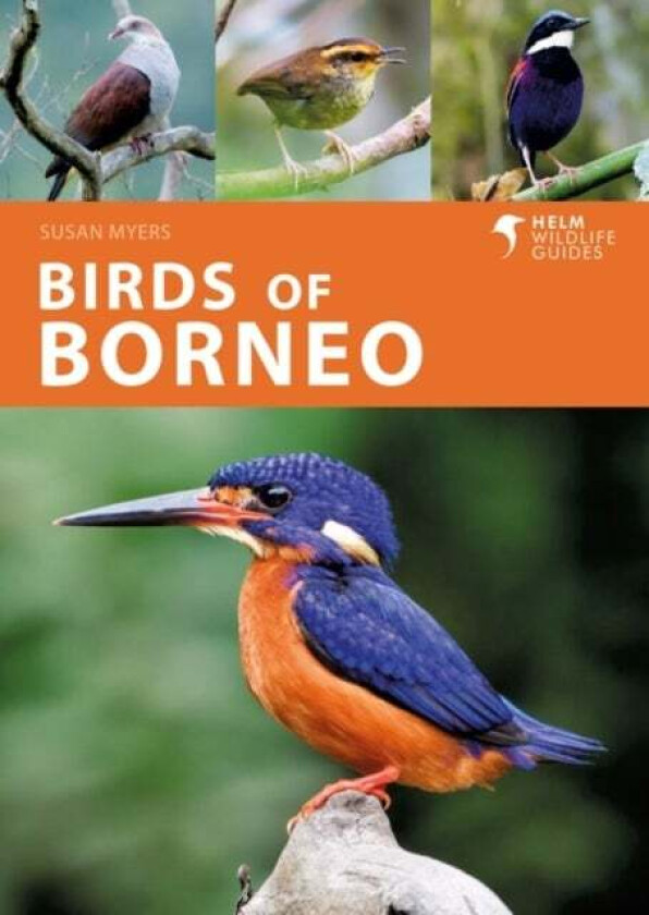 Birds of Borneo av Ms Susan Myers
