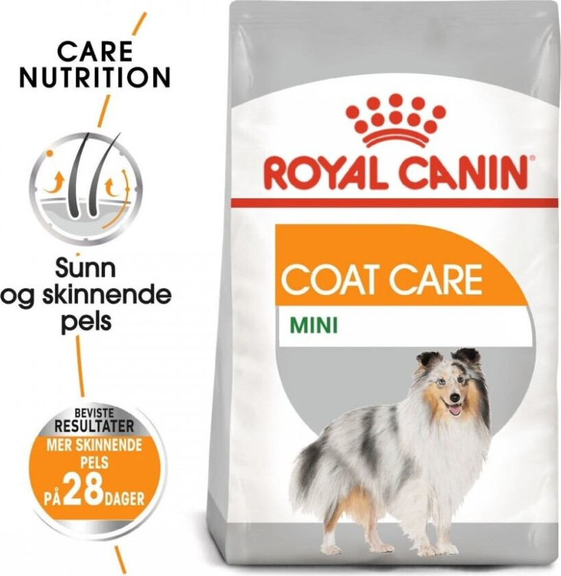 Royal Canin Coat Care Mini Adult (8 kg)