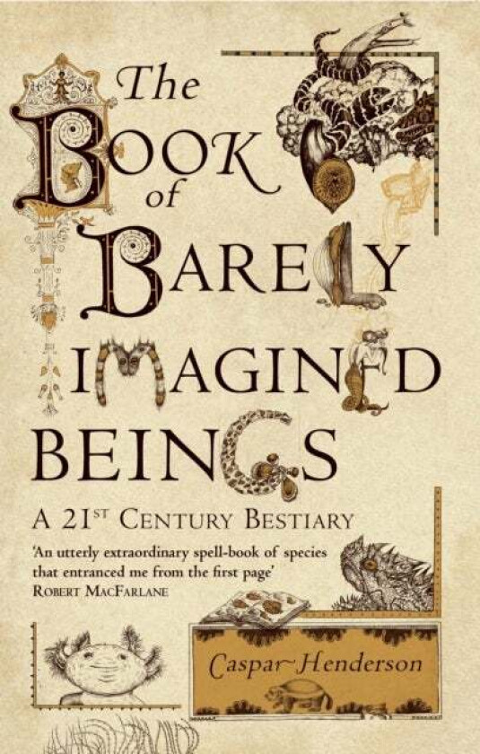 The Book of Barely Imagined Beings av Caspar Henderson