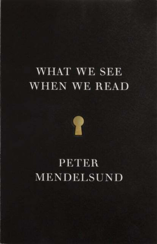 What We See When We Read av Peter Mendelsund