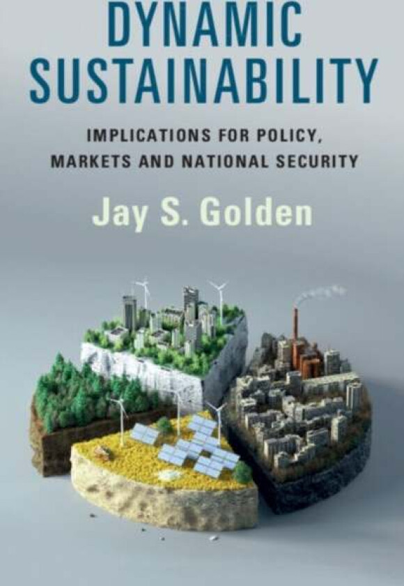 Dynamic Sustainability av Jay S. (Syracuse University New York) Golden