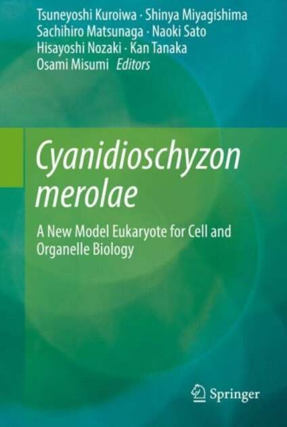 Cyanidioschyzon merolae