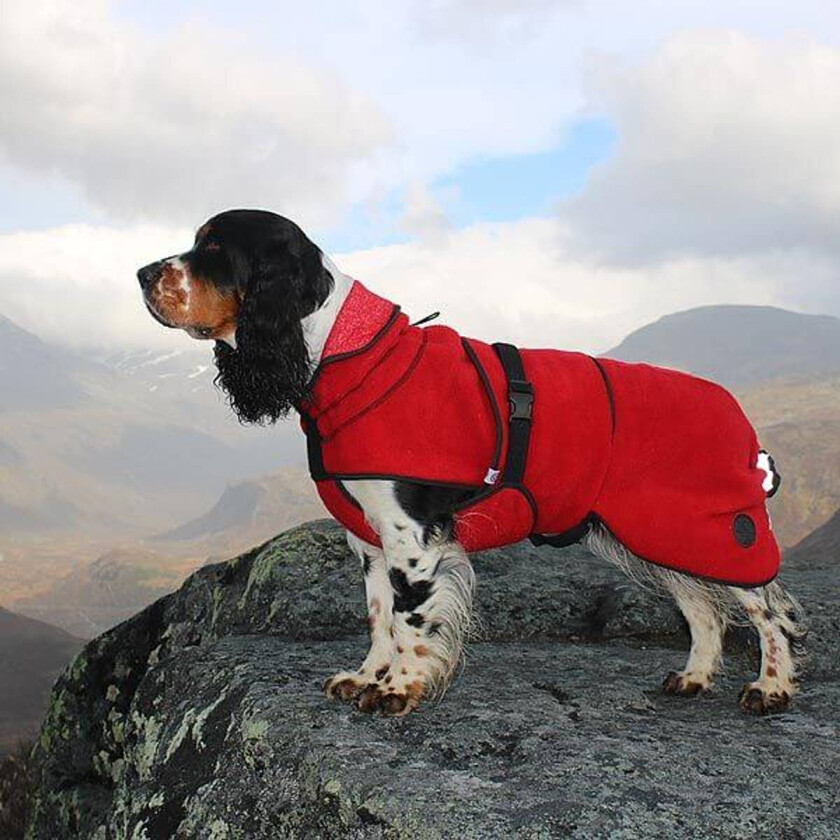 Lana Hundedekken i Ull (Rød) - S terrier