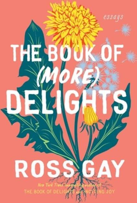 The Book of (More) Delights av Ross Gay