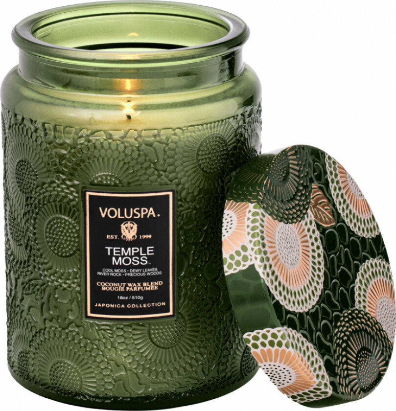 Large Jar Candle Temple Moss (100 h)