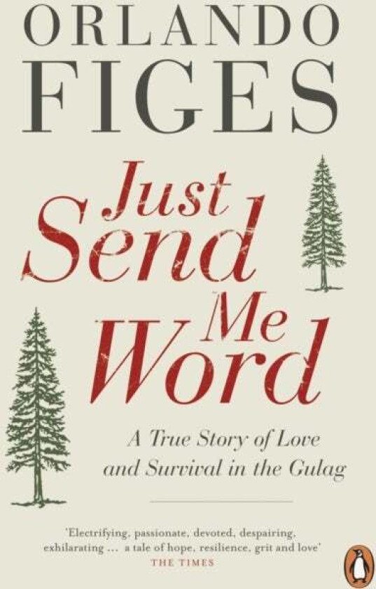 Just Send Me Word av Orlando Figes