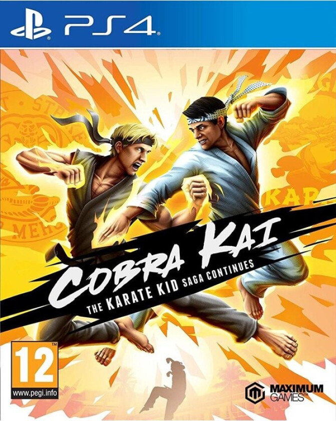 Cobra Kai Karate Kid Saga Continues (Import)