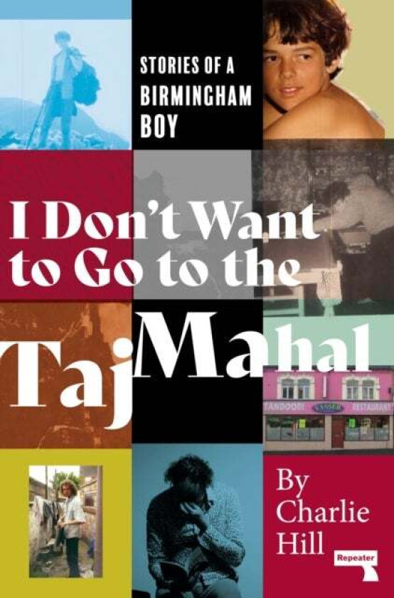 I Don't Want to Go to the Taj Mahal av Charlie Hill