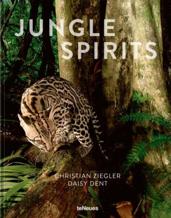 Jungle Spirits av Christian Ziegler, Daisy Dent