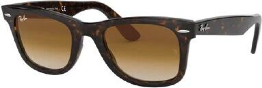 Wayfarer Tortoise Brown Brown unisex