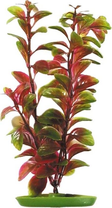 Kunstig akvarieplante "Red Ludwigia", 20cm