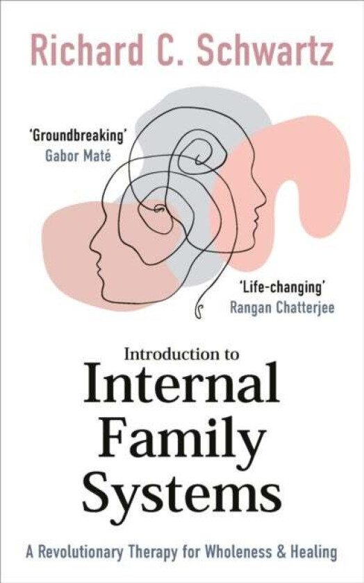 Introduction to Internal Family Systems av Richard Schwartz