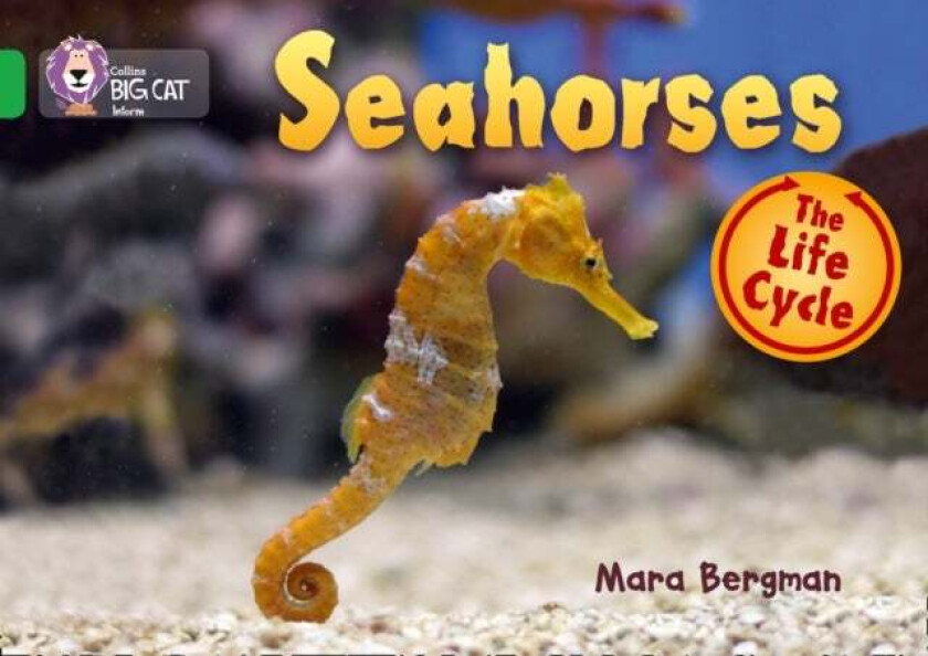 Seahorses av Mara Bergman