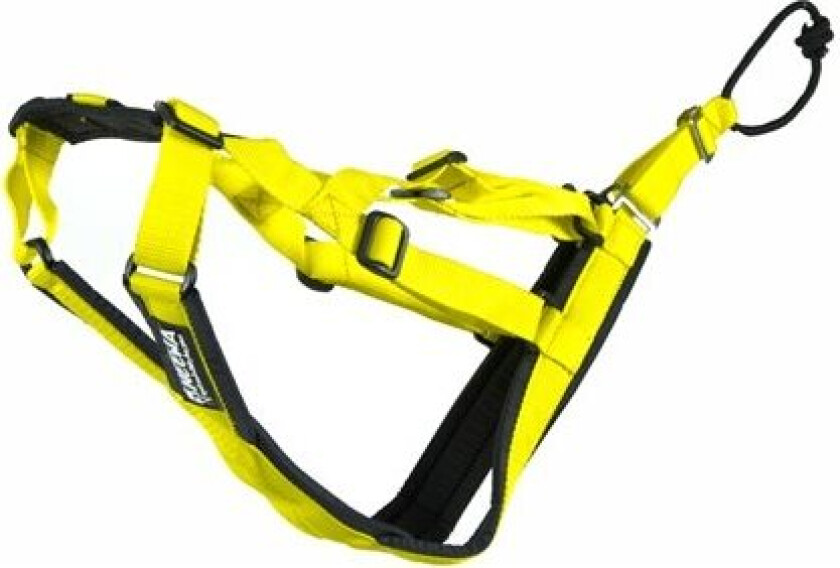 Sled Dog - X-Back