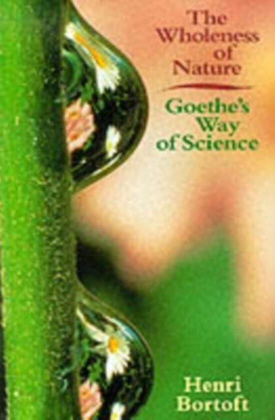 The Wholeness of Nature av Henri Bortoft