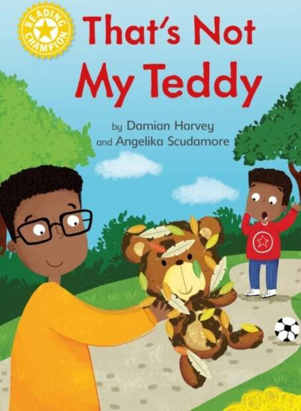 Reading Champion: That's Not My Teddy av Damian Harvey
